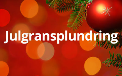 Julgransplundring den 15 januari 2023