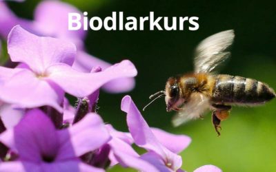 Biodlarkurs i Tyresö Bygdegård